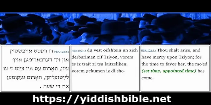 ydd-biz-card-700x350pix-resoln120